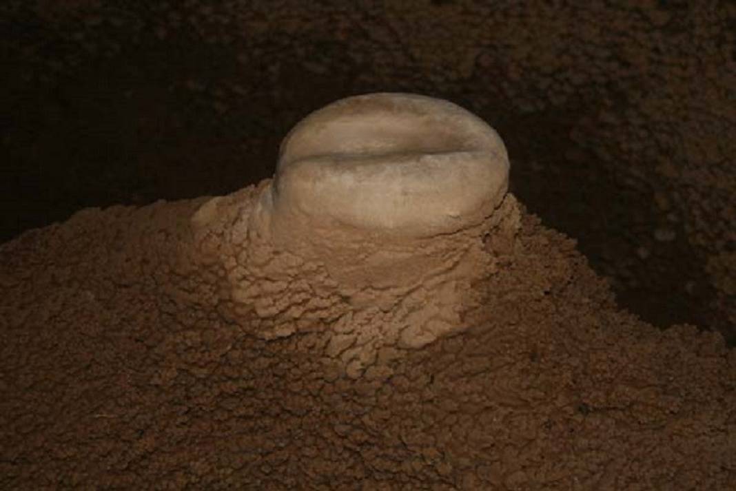 Konya'da heyecan arayanlar soluğu burada alıyor: Hassas hayvan türlerininde yuvası 8